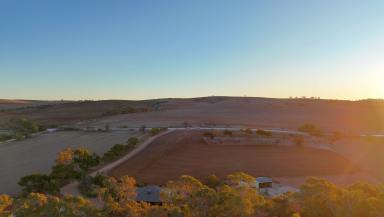 House For Sale - SA - Beetaloo Valley - 5523 - Exceptional Lifestyle Opportunity in the Beetaloo Valley  (Image 2)