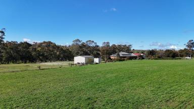 House For Sale - SA - Beetaloo Valley - 5523 - Exceptional Lifestyle Opportunity in the Beetaloo Valley  (Image 2)