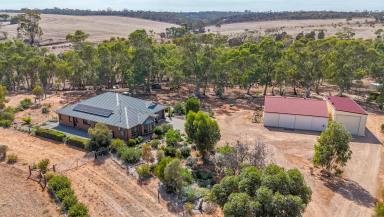 House For Sale - SA - Beetaloo Valley - 5523 - Exceptional Lifestyle Opportunity in the Beetaloo Valley  (Image 2)