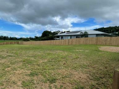 Residential Block For Sale - QLD - Tully - 4854 - Large Fully Fenced Residential Block in Tully  (Image 2)