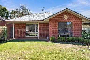House For Sale - VIC - Mildura - 3500 - Discover an incredible opportunity  (Image 2)