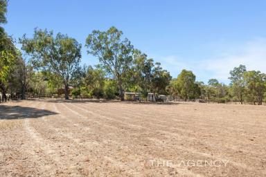 House For Sale - WA - Helena Valley - 6056 - 6.3 Acre Semi Rural Lifestyle Opportunity Backing Onto The Helena River  (Image 2)