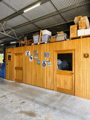 Warehouse For Sale - QLD - Tully - 4854 - Spare Land and Large Shed (Image 2)