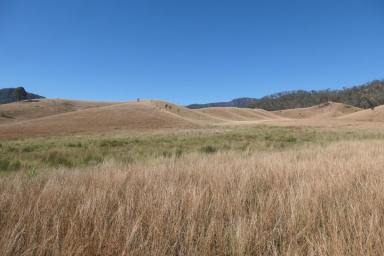 Lifestyle For Sale - NSW - Rocky River - 2372 - HEAVEN ON EARTH  (Image 2)