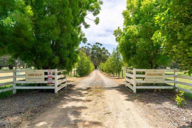 Lifestyle For Sale - VIC - Strathbogie - 3666 - DROUGHT PROOF RURAL ESTATE WITHIN HIGHLY SOUGHT REGION  (Image 2)