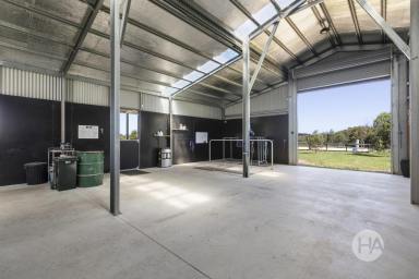 Acreage/Semi-rural For Sale - VIC - Balnarring - 3926 - Expansive Country Haven with Premium Amenities  (Image 2)