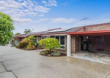 Villa For Sale - WA - Tuart Hill - 6060 - Charming Light Filled 2-Bedroom Villa with Study in Tuart Hill  (Image 2)