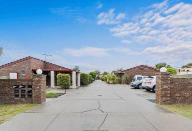 Villa For Sale - WA - Tuart Hill - 6060 - Charming Light Filled 2-Bedroom Villa with Study in Tuart Hill  (Image 2)