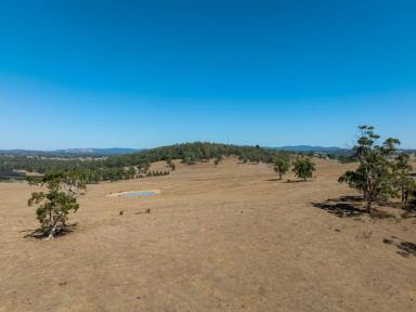Livestock Sold - VIC - Yellingbo - 3139 - UNIQUE YARRA VALLEY OPPORTUNITY WITH SCALE  (Image 2)