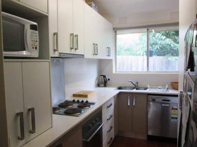 Unit Leased - VIC - Mordialloc - 3195 - 13/103-105 Barkly Street  (Image 2)