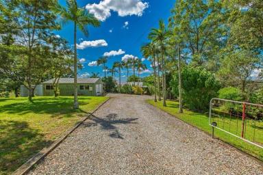 House For Sale - QLD - Chatsworth - 4570 - Private usable acreage with views  (Image 2)