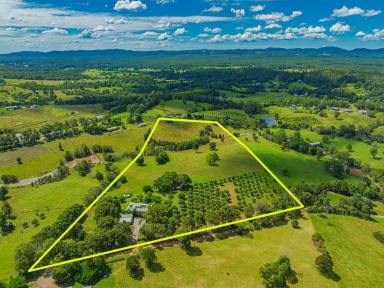 House For Sale - QLD - Chatsworth - 4570 - Private usable acreage with views  (Image 2)