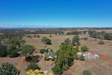 Mixed Farming Sold - NSW - Wallendbeen - 2588 - "Oakton" - 100 Years of History, Ready for Its Next Chapter  (Image 2)
