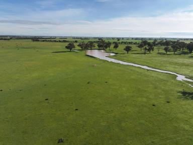 Mixed Farming For Sale - NSW - The Rock - 2655 - Rare Small Rural Property Provides Gateway To Rural Property Ownership  (Image 2)