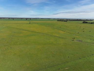 Mixed Farming For Sale - NSW - The Rock - 2655 - Rare Small Rural Property Provides Gateway To Rural Property Ownership  (Image 2)