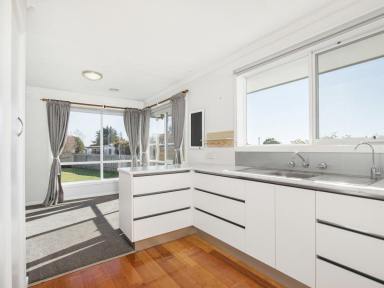 House For Lease - TAS - Miandetta - 7310 - North Facing Modern Comfort  (Image 2)