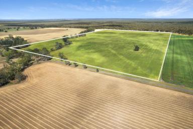 Mixed Farming For Sale - VIC - Kamarooka - 3570 - Kamarooka Land Auction - 125 Acres  (Image 2)