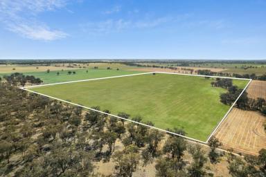 Mixed Farming For Sale - VIC - Kamarooka - 3570 - Kamarooka Land Auction - 125 Acres  (Image 2)