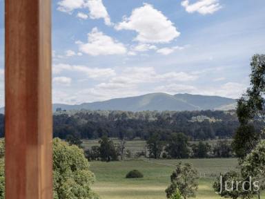 Lifestyle Sold - NSW - Lovedale - 2325 - The Lovedale Trifecta: Elevated Luxury. Hunter Serenity. Significant Revenue Potential  (Image 2)