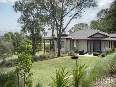 Lifestyle For Sale - NSW - Lovedale - 2325 - A Love Letter from Wine Country  (Image 2)
