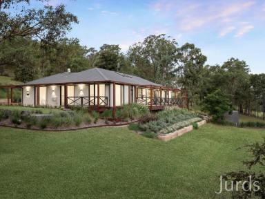 Lifestyle For Sale - NSW - Lovedale - 2325 - A Love Letter from Wine Country  (Image 2)