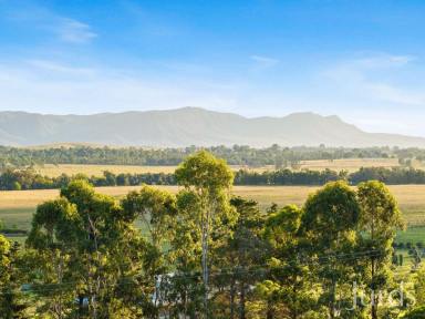 Lifestyle For Sale - NSW - Lovedale - 2325 - Luxury Country House in the Heart of Lovedale  (Image 2)