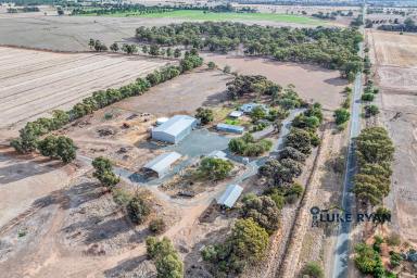 Cropping For Sale - VIC - Rochester - 3561 - 153 ACRES WITH RENOVATED HOME, SHEDDING & GROUNDWATER  (Image 2)