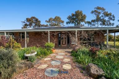 Cropping For Sale - VIC - Rochester - 3561 - INDUSTRIAL SHED, MODERN HOME, GROUNDWATER IRRIGATION  (Image 2)
