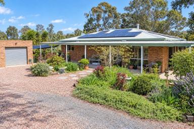 Cropping For Sale - VIC - Rochester - 3561 - INDUSTRIAL SHED, MODERN HOME, GROUNDWATER IRRIGATION  (Image 2)