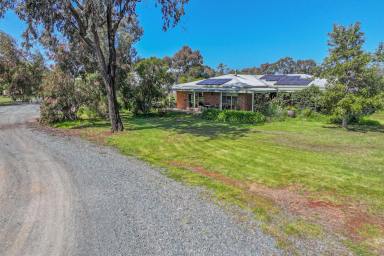 Cropping For Sale - VIC - Rochester - 3561 - INDUSTRIAL SHED, MODERN HOME, GROUNDWATER IRRIGATION  (Image 2)