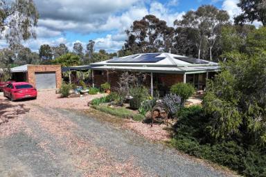 Cropping For Sale - VIC - Rochester - 3561 - 153 ACRES WITH RENOVATED HOME, SHEDDING & GROUNDWATER  (Image 2)