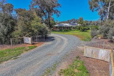 Cropping For Sale - VIC - Rochester - 3561 - INDUSTRIAL SHED, MODERN HOME, GROUNDWATER IRRIGATION  (Image 2)
