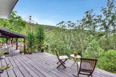 Acreage/Semi-rural For Sale - NSW - Wollombi - 2325 - Inspiring Bush Retreat  (Image 2)