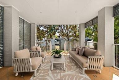 House Leased - QLD - Paddington - 4064 - Family Home with Pool in Prime Paddington Location  (Image 2)