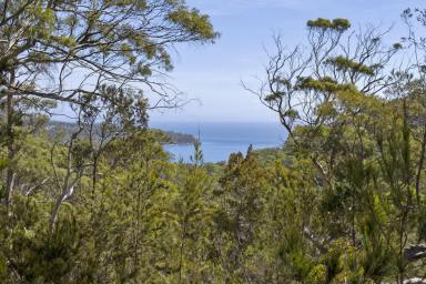 Residential Block For Sale - TAS - White Beach - 7184 - Two Stunning 50-Acre Tasmanian Bushland Parcels – Buy One or Both!  (Image 2)