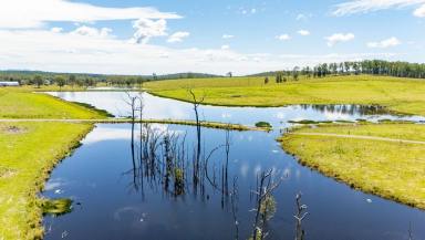 Other (Rural) For Sale - QLD - Anderleigh - 4570 - 114 Acres of Prime Grazing & Water  (Image 2)