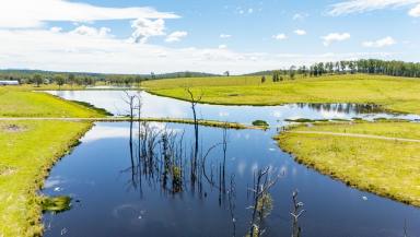 Other (Rural) For Sale - QLD - Anderleigh - 4570 - 114 Acres of Prime Grazing & Water  (Image 2)