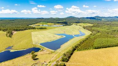 Other (Rural) For Sale - QLD - Anderleigh - 4570 - 114 Acres of Prime Grazing & Water  (Image 2)