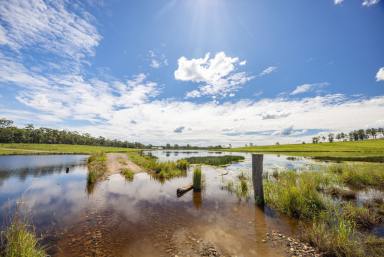Other (Rural) For Sale - QLD - Anderleigh - 4570 - 114 Acres of Prime Grazing & Water  (Image 2)