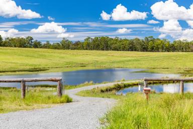 Other (Rural) For Sale - QLD - Anderleigh - 4570 - 114 Acres of Prime Grazing & Water  (Image 2)