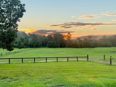 Lifestyle For Sale - NSW - Wollombi - 2325 - 'Coomealla Farm' - Prime Wollombi Acres So Close to Town!  (Image 2)
