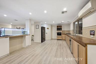 House For Sale - WA - Carramar - 6031 - SPACIOUS FAMILY LIVING WITH RESORT-STYLE ENTERTAINING  (Image 2)