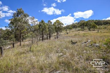 Lifestyle For Sale - NSW - Emmaville - 2371 - Own a slice of tranquility in Emmaville  (Image 2)