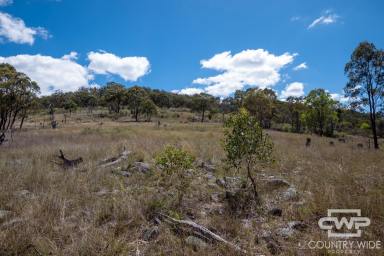 Lifestyle For Sale - NSW - Emmaville - 2371 - Own a slice of tranquility in Emmaville  (Image 2)