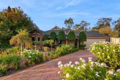 House For Sale - VIC - Strathdale - 3550 - Character, Comfort and Space in a Premium Strathdale Pocket  (Image 2)