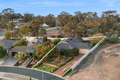 House For Sale - VIC - Strathdale - 3550 - Character, Comfort and Space in a Premium Strathdale Pocket  (Image 2)