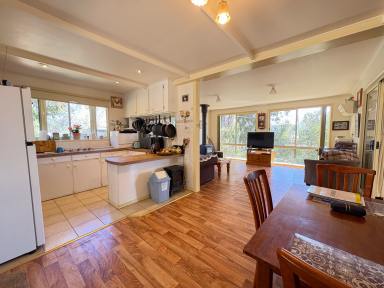 House Auction - VIC - Murrabit - 3579 - Once in a lifetime  (Image 2)