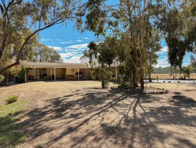 House Auction - VIC - Murrabit - 3579 - Once in a lifetime  (Image 2)