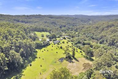 Acreage/Semi-rural For Sale - QLD - Landers Shoot - 4555 - LUXURY ACERAGE LIFESTYLE WITH EXPANSIVE VIEWS  (Image 2)