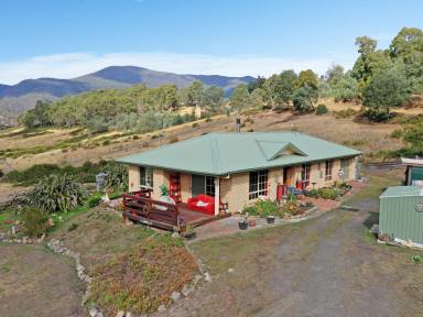 House For Sale - TAS - Lachlan - 7140 - Brick Beauty with Space to Grow - 3 Bedrooms on 5 Acres  (Image 2)